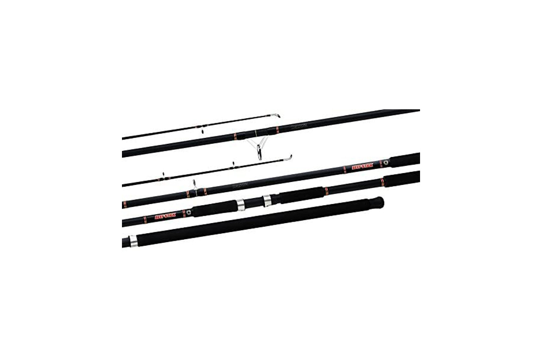 Daiwa BFSF1202MHRS Beefstick Surf Spin Rod, 12-Feet, 2-Piece