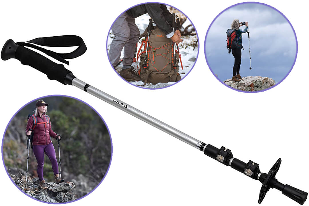 ALPS Mountaineering 7897423 Journey Trekking Pole