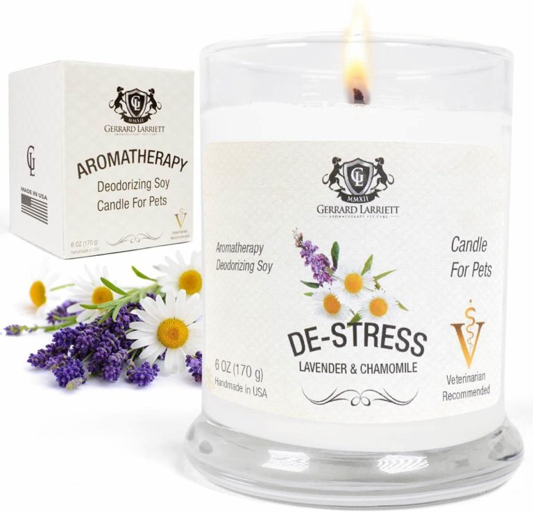 The Best Aromatherapy Candles for Stress Relief CAM Math